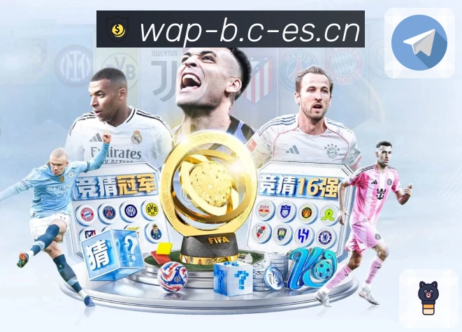 b体育内容使用支持